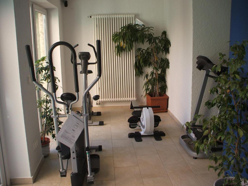 Hotel Apollo Garni Regensburg Luaran gambar